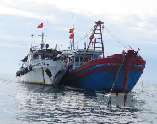 'Trên nóng dưới lạnh' trong việc khắc phục thẻ vàng từ EC ảnh 2